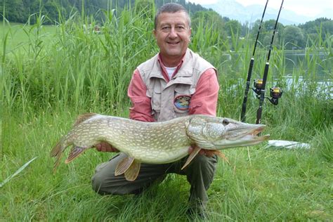 "Fishing Oasis" - замечательный посев для любителей рыбной ловли