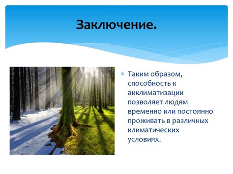Адаптация физики к различным погодным условиям