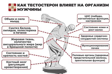 Андрогенные мази: повышение уровня тестостерона