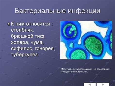 Бактериальные инфекции, передающиеся через слюну