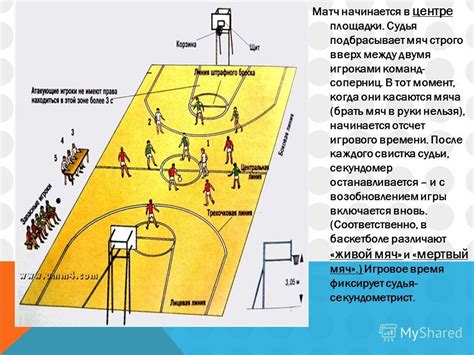Баскетбол: игроки, позиции и роли на площадке