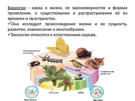 Биология: изучение жизни и ее процессов