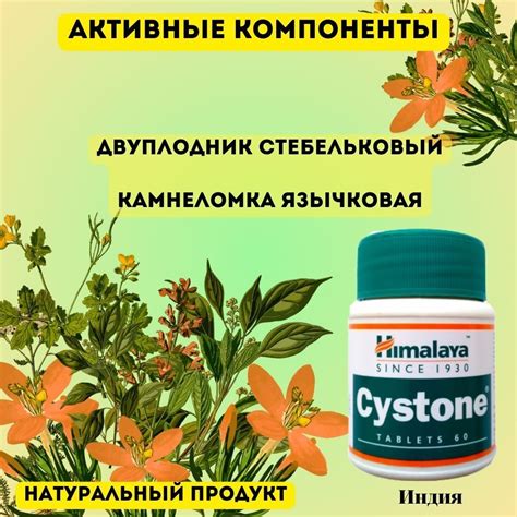 Болеутоляющие средства при камнях в почках