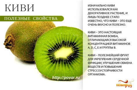 Возможные полезные свойства киви для животных