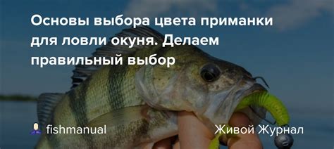 Выбор правильной приманки