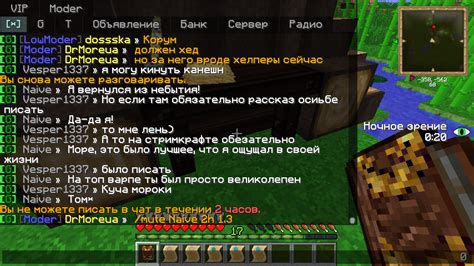 Выдача мута