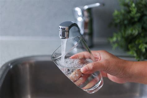 Выживание: как обеспечить себя едой, водой и укрытием