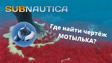 Где найти жреца мотылька
