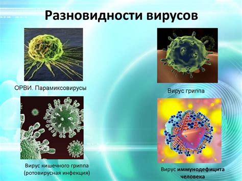 Герпес вирусная инфекция