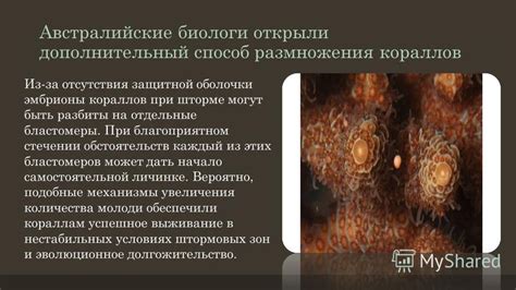 Гибриды, возникающие при стечении обстоятельств: