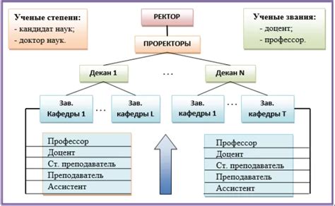 Доктор наук, профессор и кандидат наук