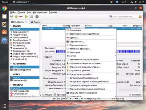 Дополнительные советы для повышения скорости в Qbittorrent