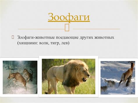 Животные, поедающие виноград