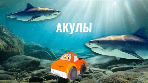 Животные, спаривающиеся с представителями других видов: интересные факты