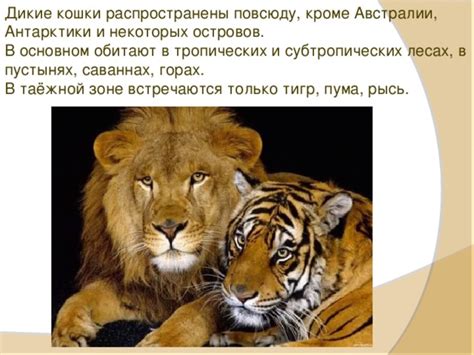 Животные субтропических островов и архипелагов