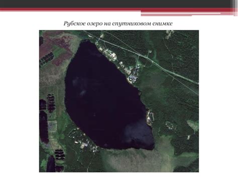 Заповедники Ивановской области: сохранение уникальной природы региона