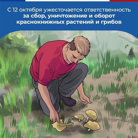 Защита редких видов растений и животных