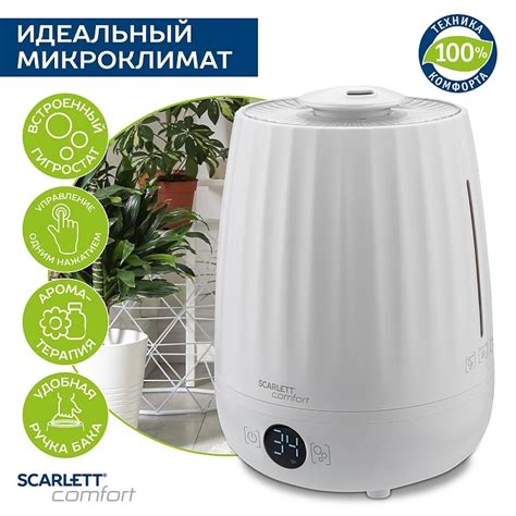 Какие масла можно добавить в увлажнитель