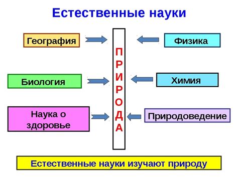 Какие науки точны: обзор дисциплин и их значимость