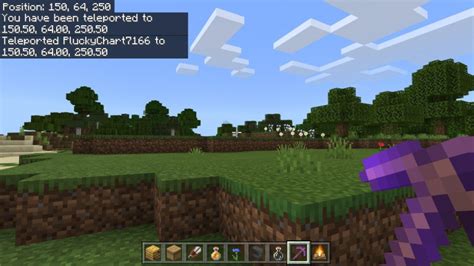 Как быстро телепортироваться в Minecraft: советы и хитрости