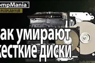 Как выбрать новый альянс