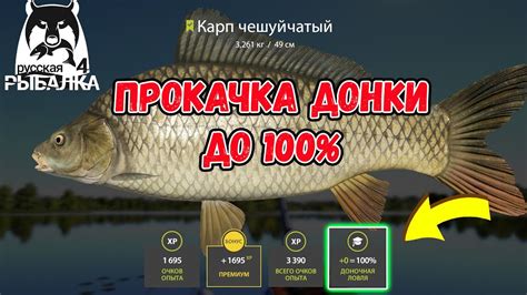 Как заработать в Русской рыбалке 4: советы и рекомендации