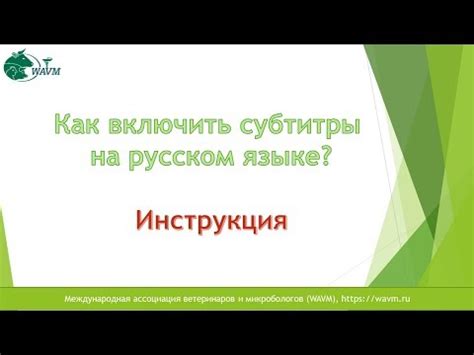 Как изменить субтитры на русский язык