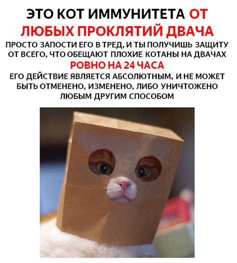 Как попасть на Двач fet