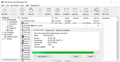 Как правильно настроить Internet Download Manager (IDM)