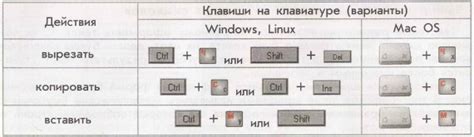 Как скопировать текст на ноутбуке