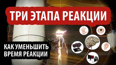 Как улучшить скорость реакции мыши
