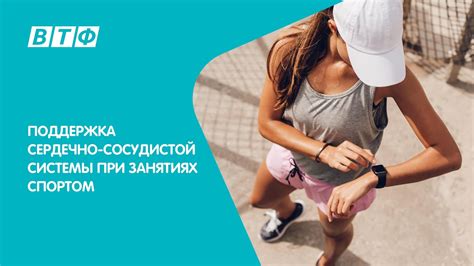 Кардио-сосудистая система: тренировка сердечно-сосудистой системы при велосипедных занятиях