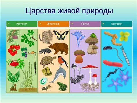 Классификация живой природы