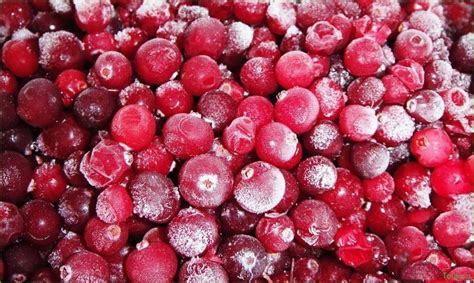 Клюква Американская: уникальные свойства и рекомендации по употреблению