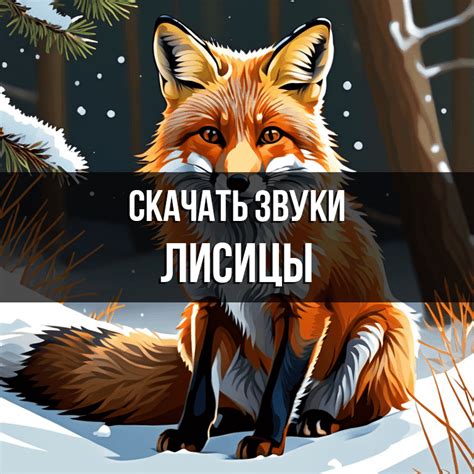 Коммуникативные звуки лисы