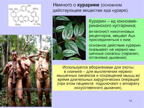 Курарине