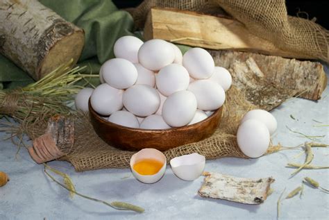 Курицы, несущие белые яйца
