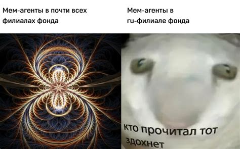 Мемы и меметические агенты в SCP