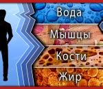 Методы оценки композиции тела