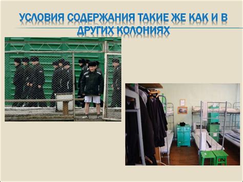 Насильники в колониях Мордовии: особенности содержания и проблемы