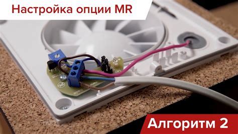 Настройка вентиляторов: важность и возможности