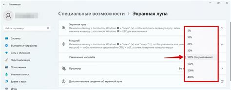 Настройка лупы