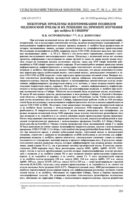 Некоторые проблемы и их решение