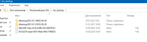 Необходимость резервного копирования папки bin