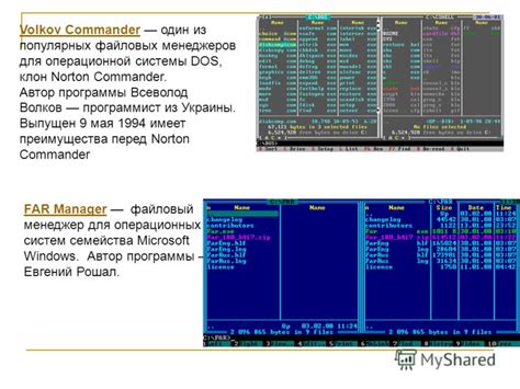 Описание программы Volkov Commander