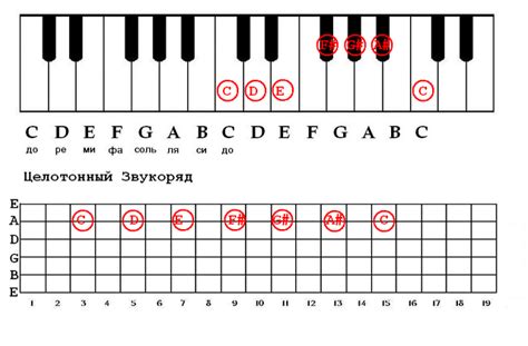 Основные звуки аксолотля