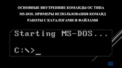 Основные команды MS-DOS