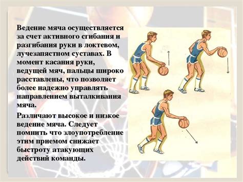 Основные мышцы в работе при броске мяча в баскетболе