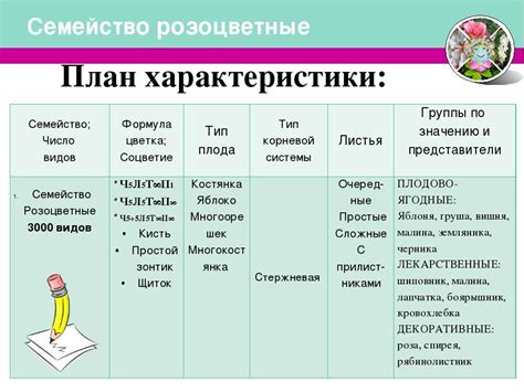 Основные характеристики класса