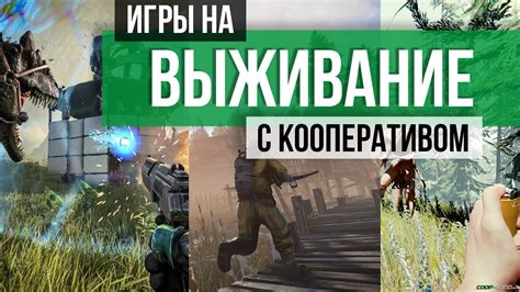 Основы игры в кооперативе